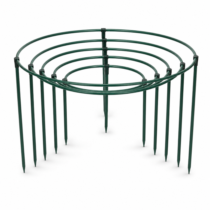 Steel Plant Support Rings - Set of 6